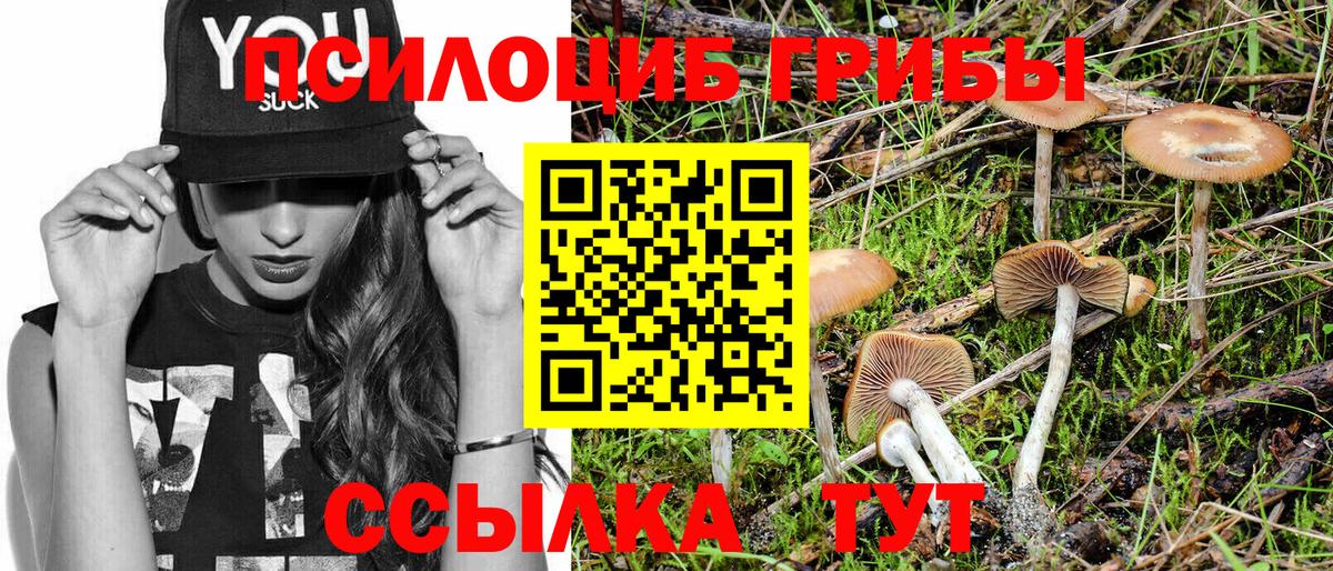 Черкесск  Псилоцибиновые грибы Psilocybine cubensis  Вход с VPN 
