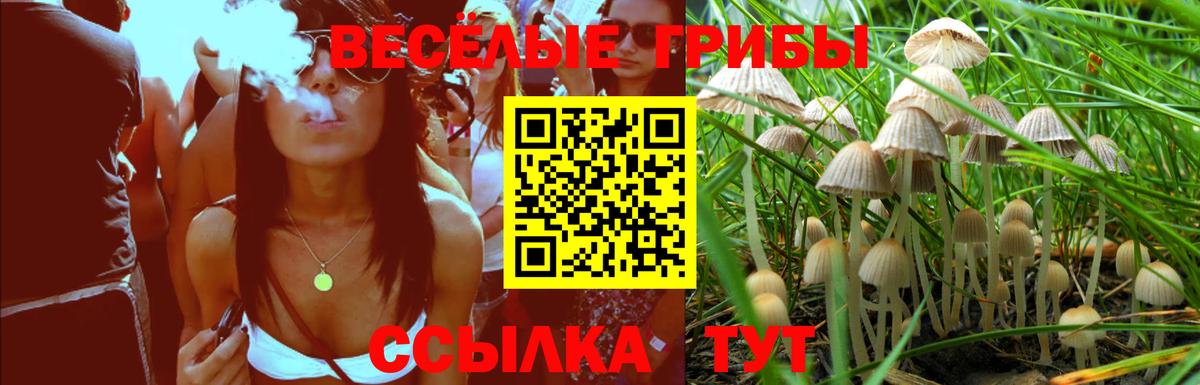 Псилоцибиновые грибы GOLDEN TEACHER Черкесск