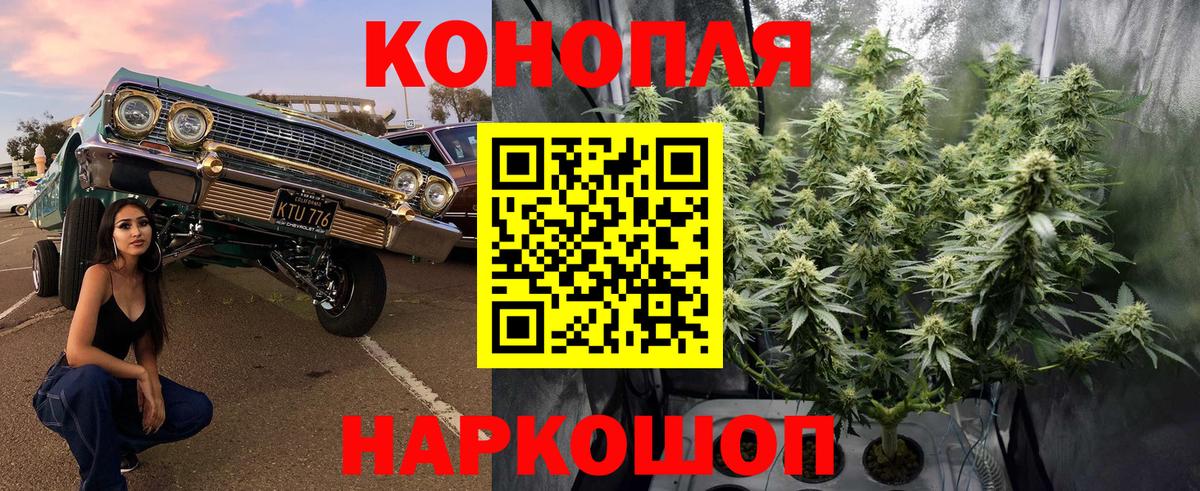 МАРИХУАНА White Widow Черкесск